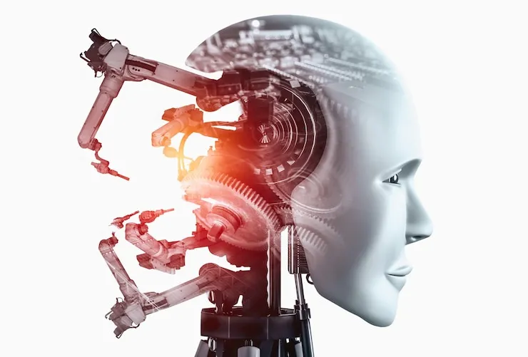 Supported Languages and Formats